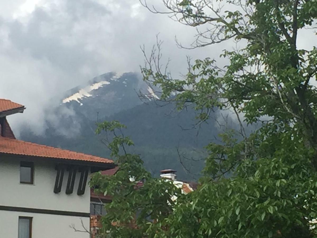 Belvedere Holiday Apartment Bansko Bagian luar foto