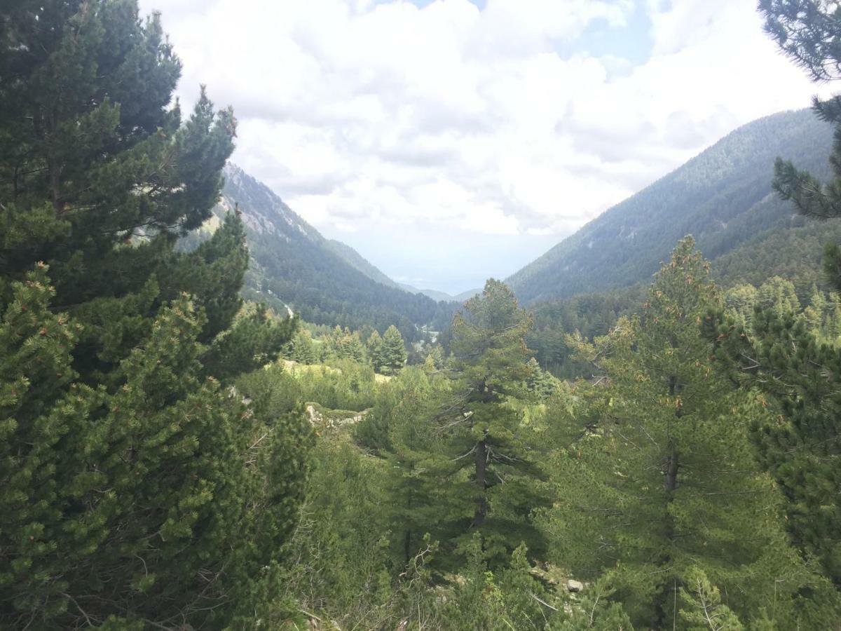 Belvedere Holiday Apartment Bansko Bagian luar foto